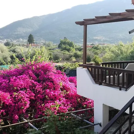 Marina Paralia Kallonis